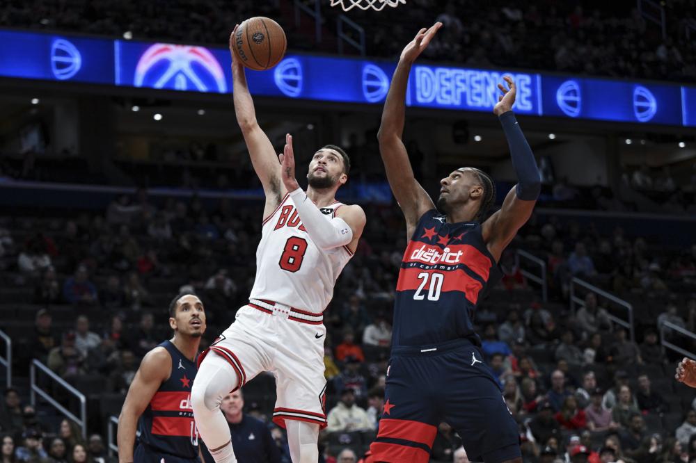 表现充满期 表现充满期