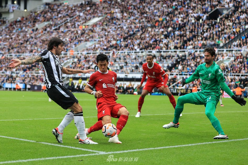 以下是根据 以下是根据